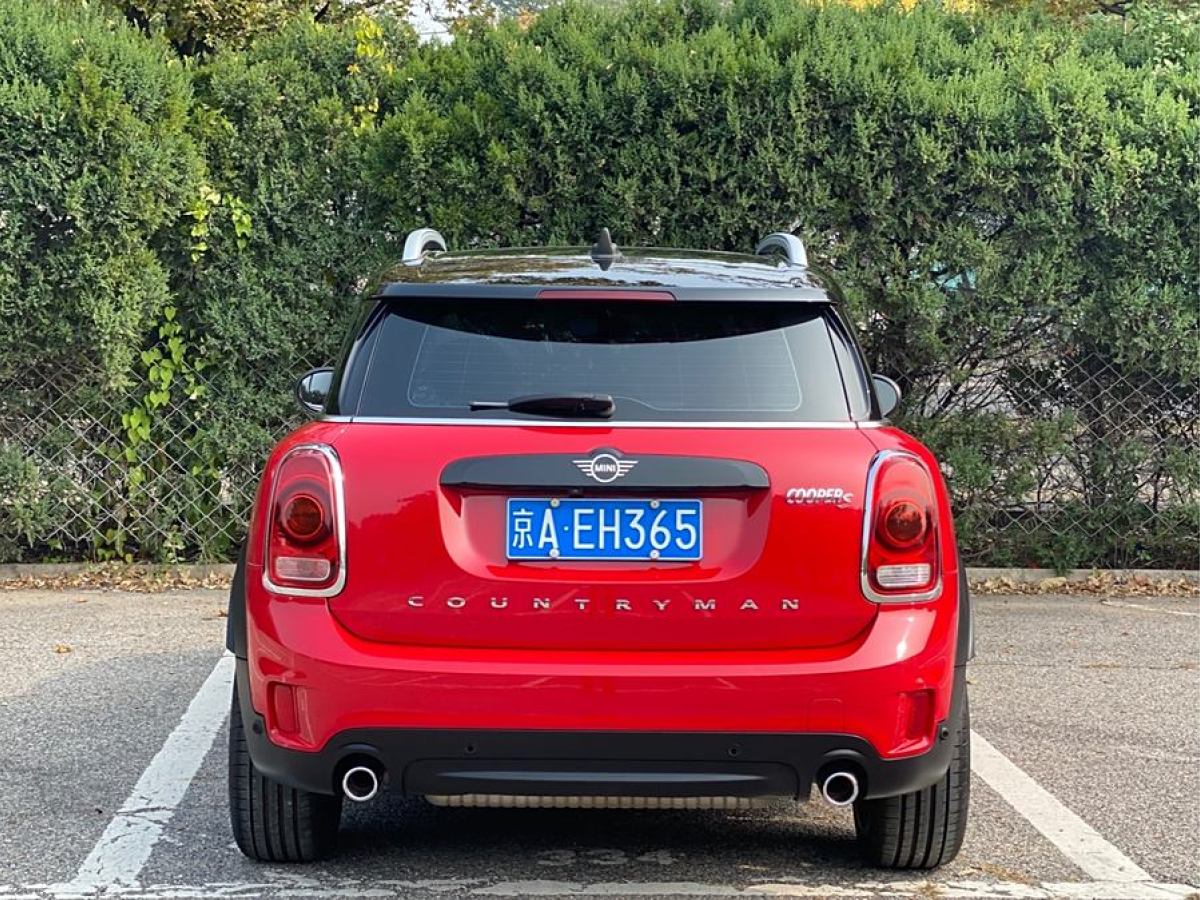 MINI COUNTRYMAN  2019款 2.0T COOPER S ALL4 藝術(shù)家圖片