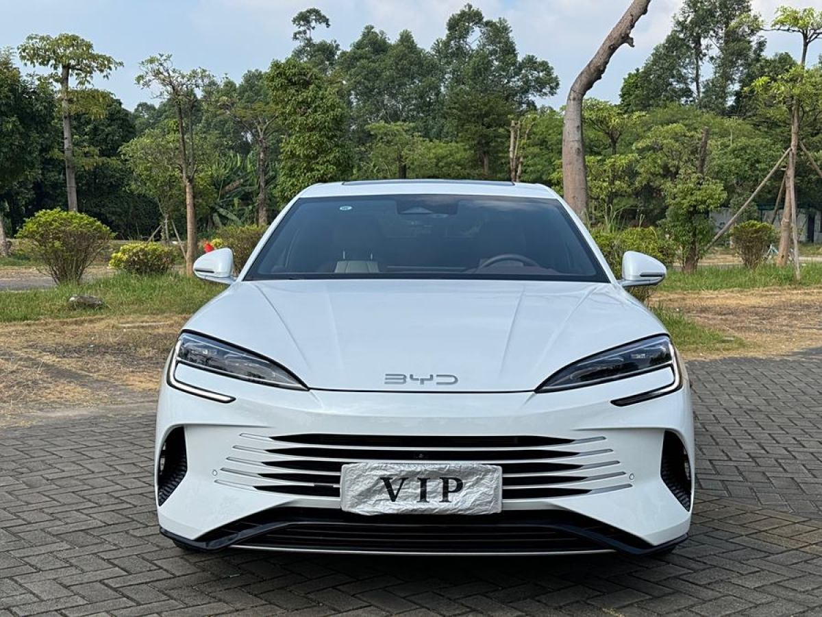 比亞迪 海豹  2023款 DM-i 1.5L 121km 尊貴型圖片