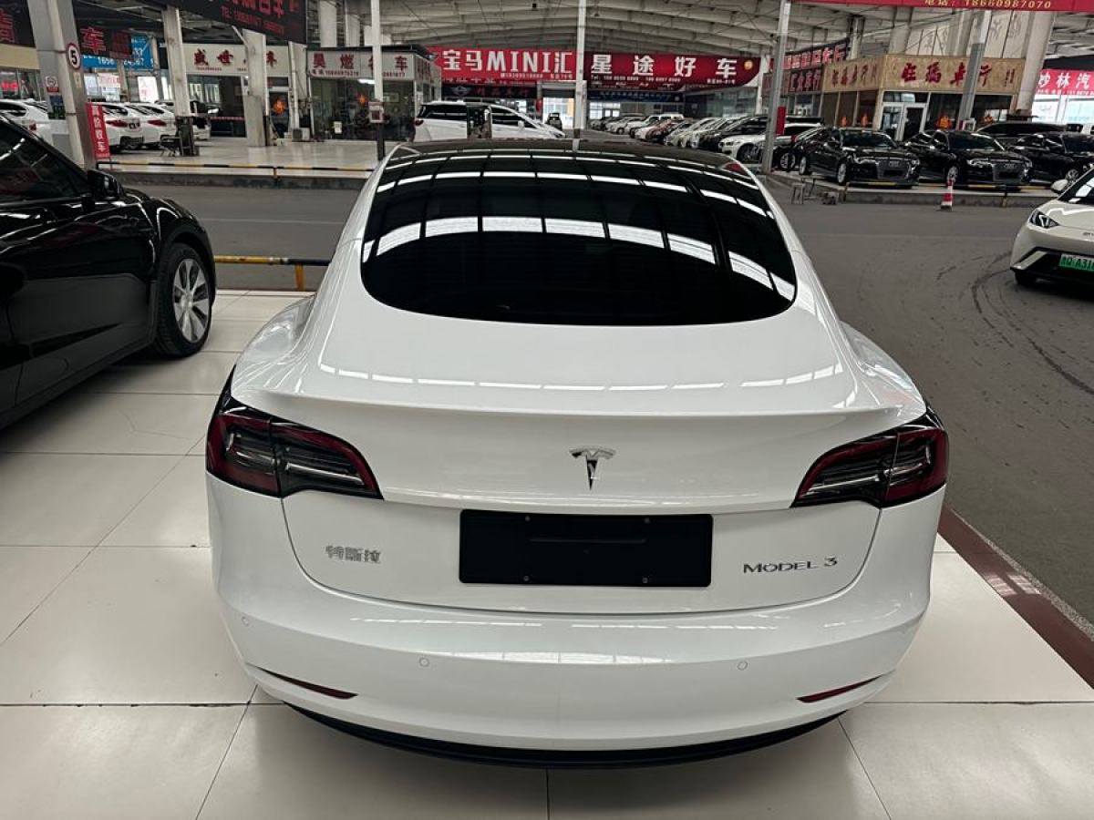 特斯拉 Model 3  2021款 改款 標(biāo)準(zhǔn)續(xù)航后驅(qū)升級(jí)版圖片