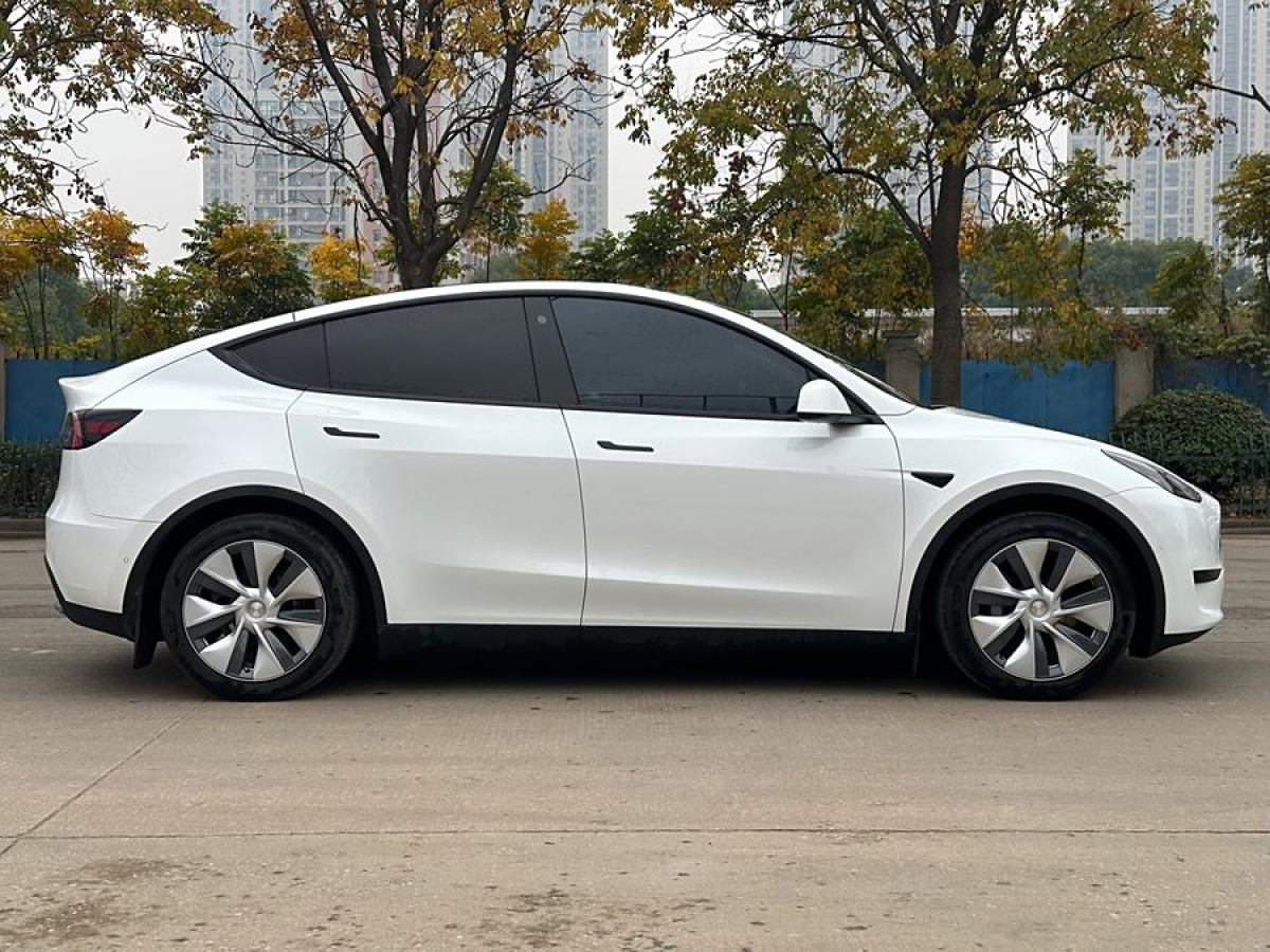 特斯拉 Model 3  2020款 改款 長(zhǎng)續(xù)航后輪驅(qū)動(dòng)版圖片