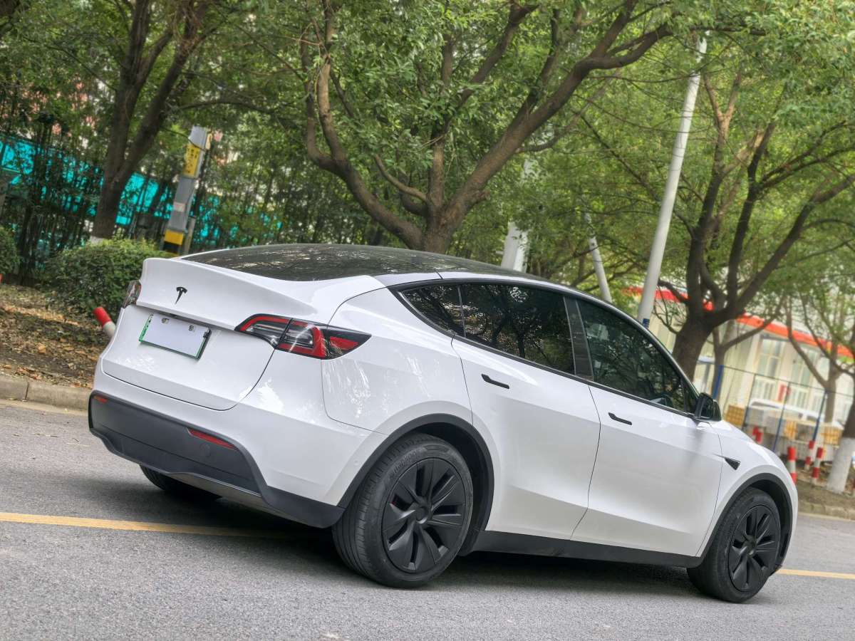 特斯拉 Model Y  2021款 標(biāo)準(zhǔn)續(xù)航后驅(qū)版圖片