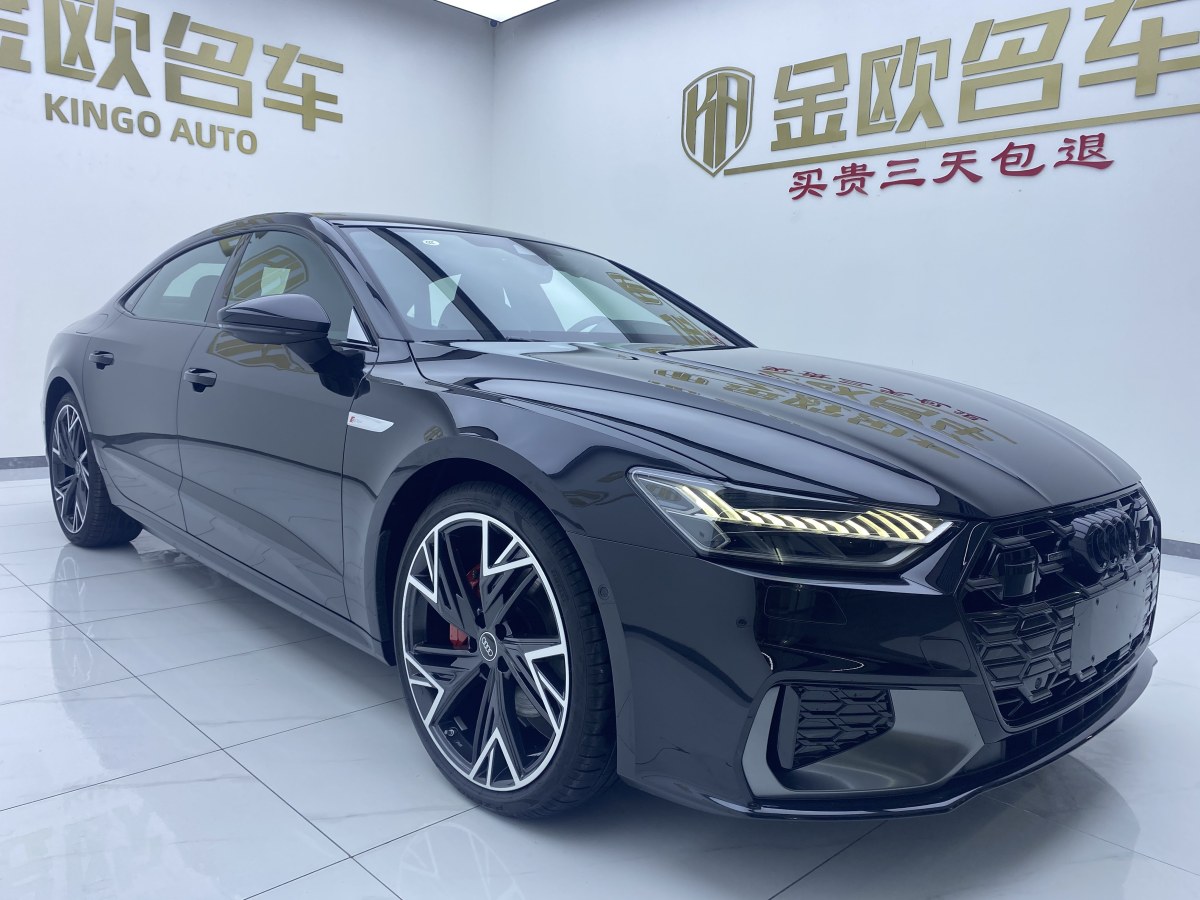 2024年10月奧迪 奧迪A7L  2024款 45 TFSI quattro 黑武士版