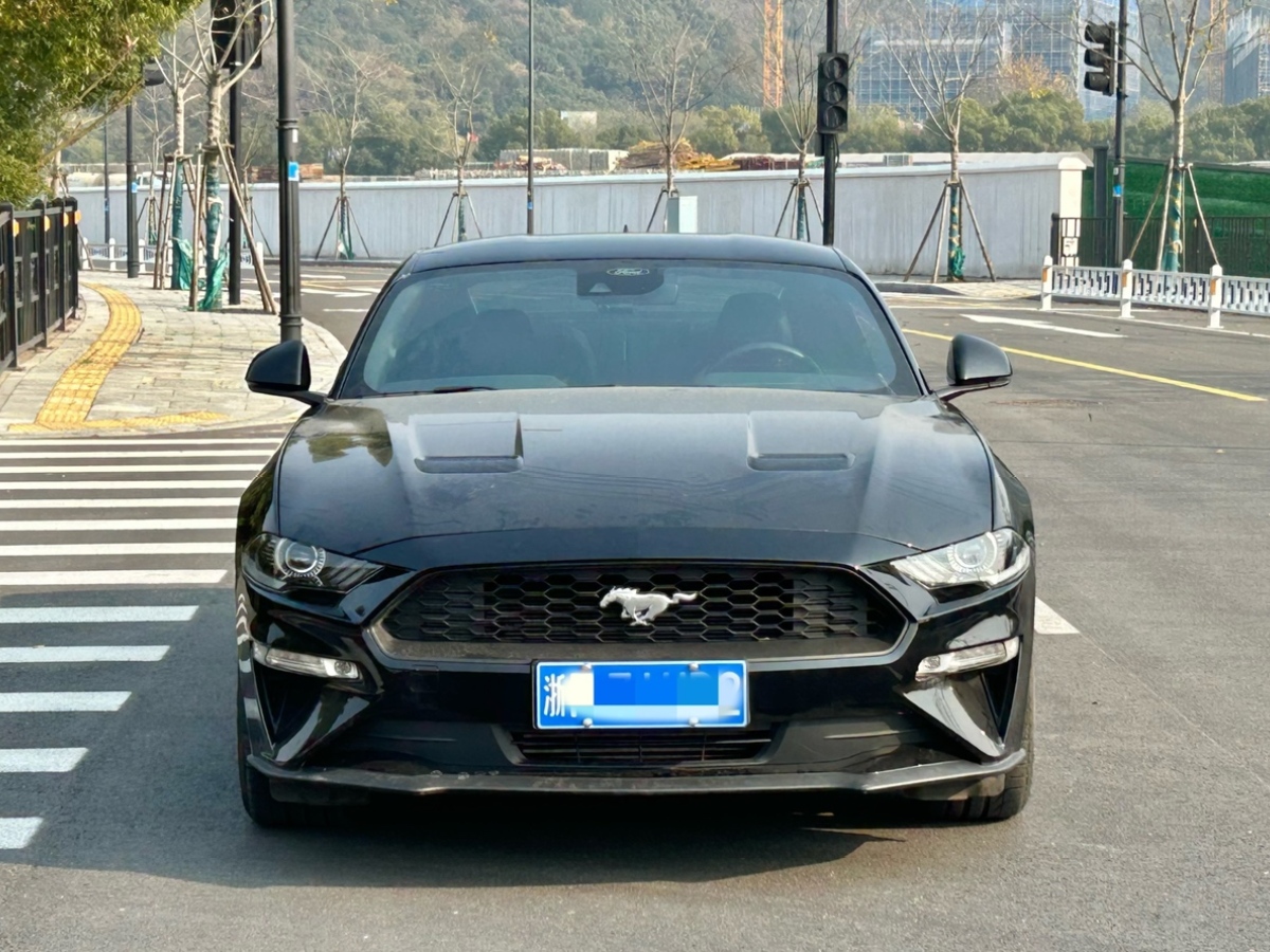 福特 Mustang  2021款 2.3L EcoBoost圖片