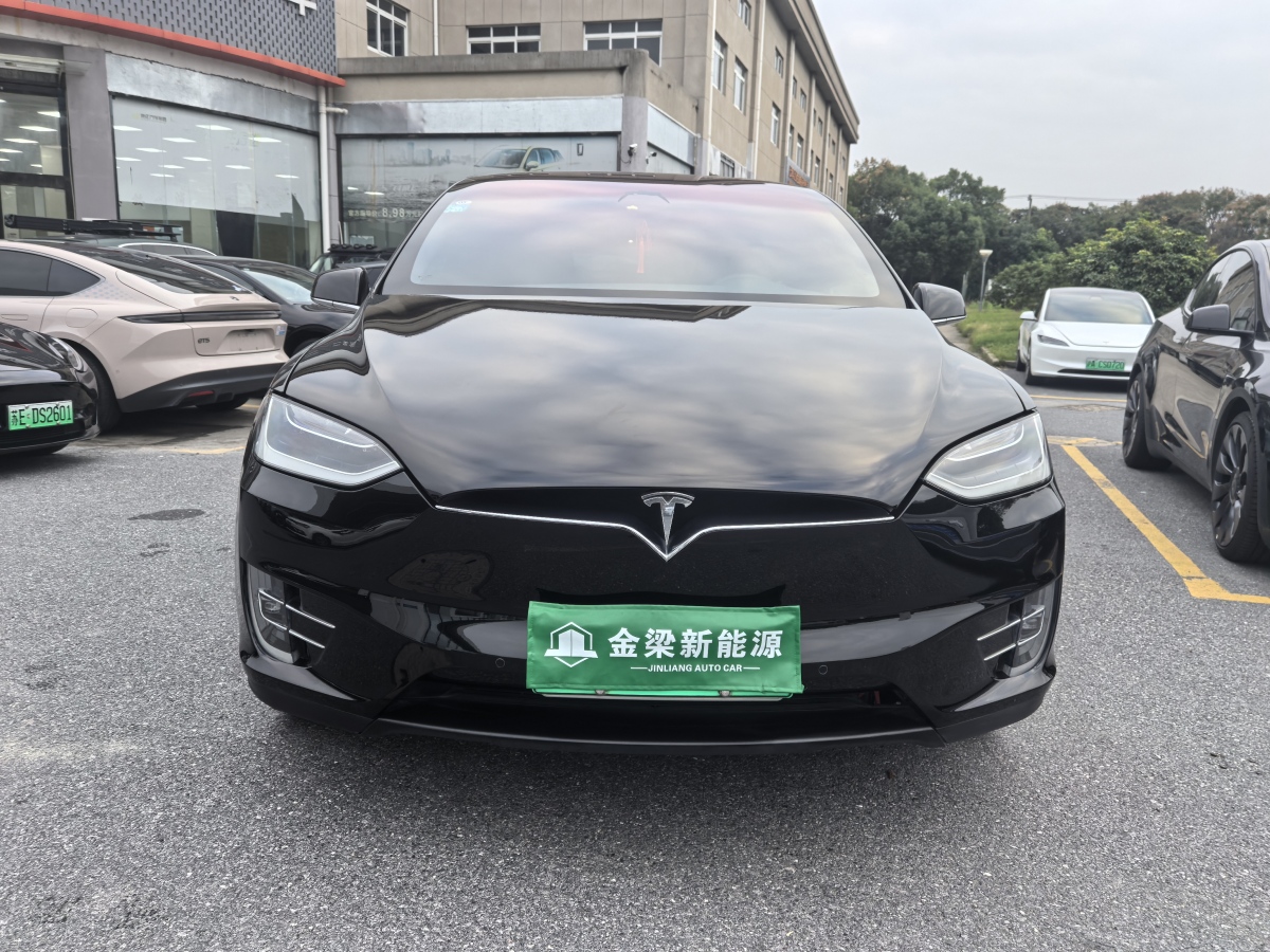 特斯拉 Model X  2019款 Performance 高性能版圖片