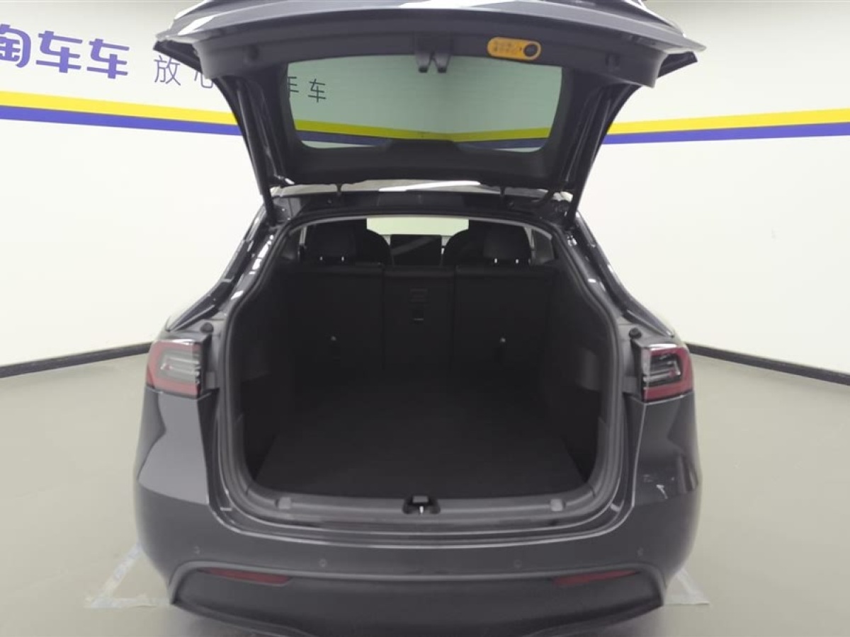 特斯拉 Model Y  2021款 標(biāo)準(zhǔn)續(xù)航后驅(qū)版圖片