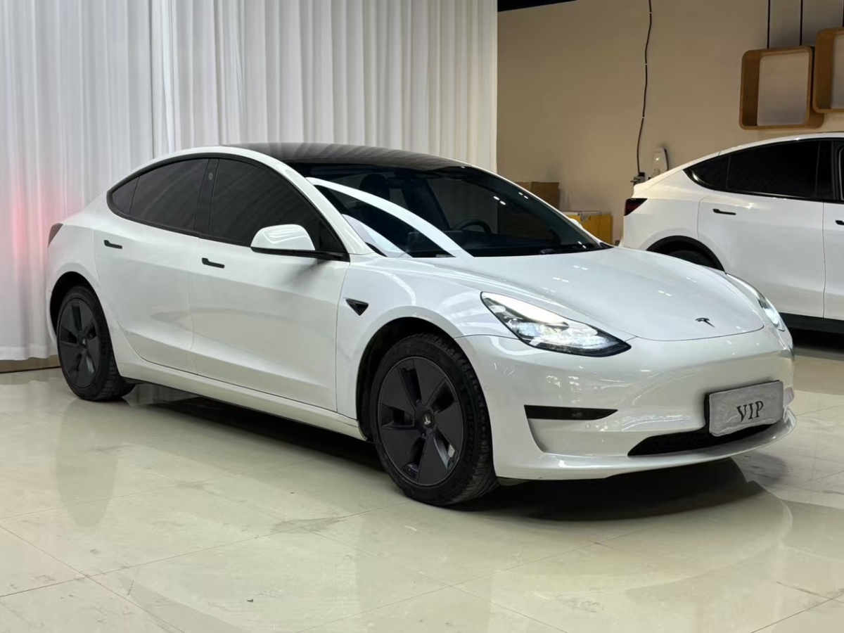 特斯拉 Model 3  2021款 標(biāo)準(zhǔn)續(xù)航后驅(qū)升級(jí)版 3D6圖片