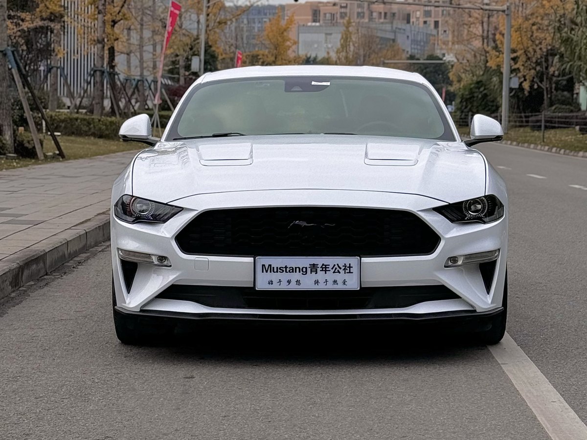 福特 Mustang  2019款 2.3L EcoBoost圖片