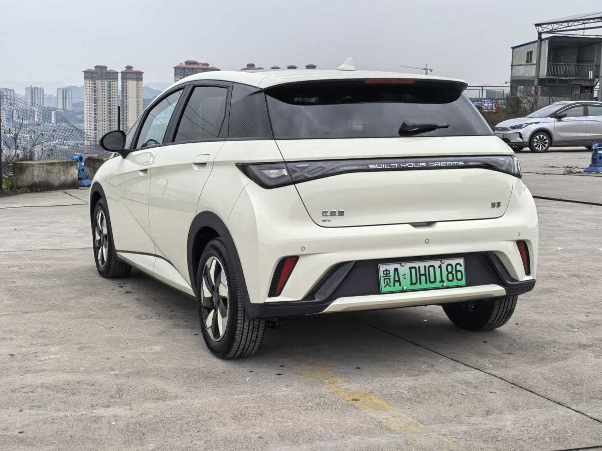 比亞迪 海豚  2024款 榮耀版 420km 時尚版圖片