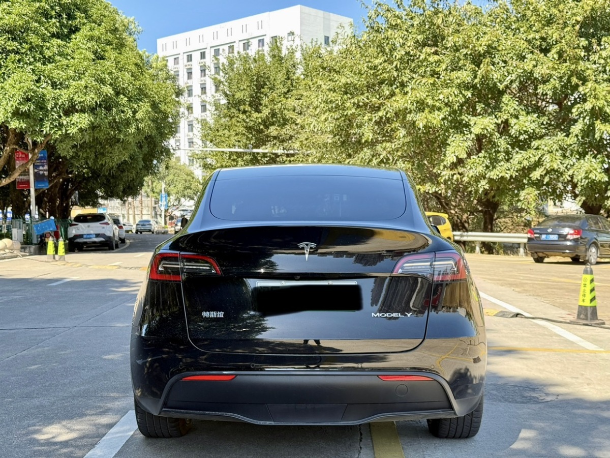 特斯拉 Model Y  2021款 改款 標(biāo)準(zhǔn)續(xù)航后驅(qū)升級(jí)版圖片