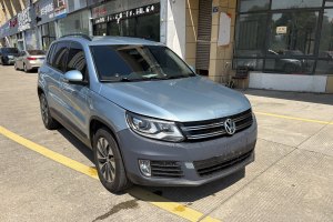 途觀 大眾 1.4TSI 手動(dòng)兩驅(qū)藍(lán)驅(qū)版