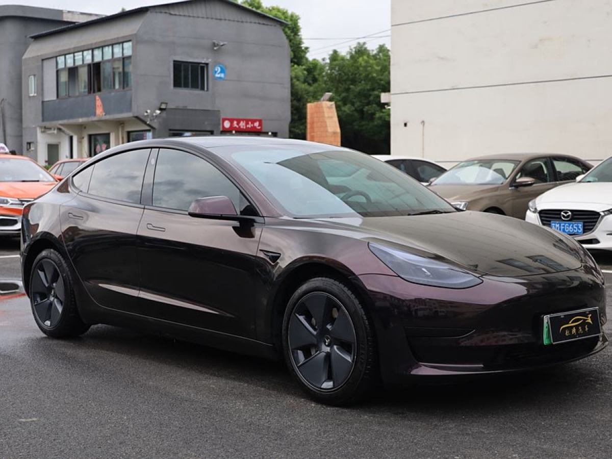 特斯拉 Model 3  2019款 標(biāo)準(zhǔn)續(xù)航后驅(qū)升級(jí)版圖片