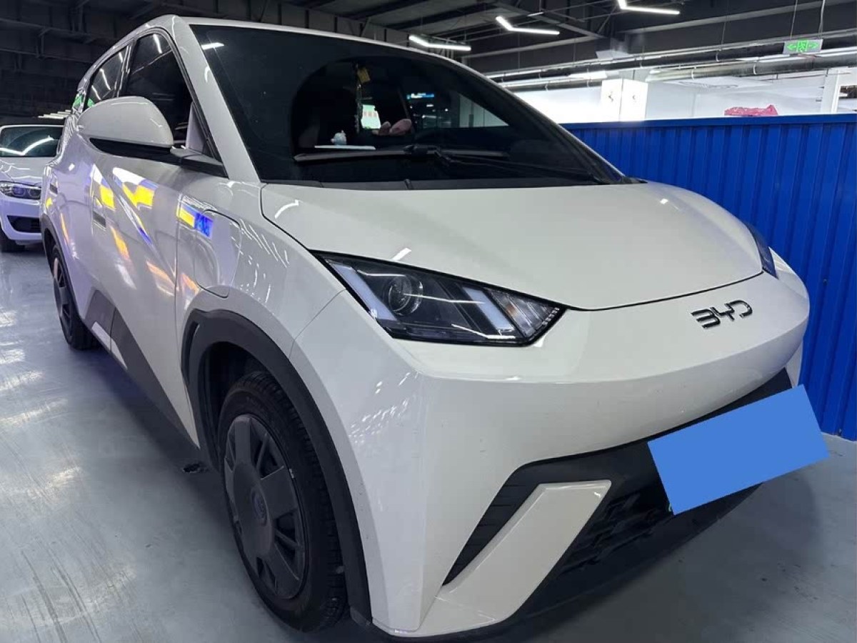 比亞迪 海鷗  2024款 榮耀版 305km 自由版圖片