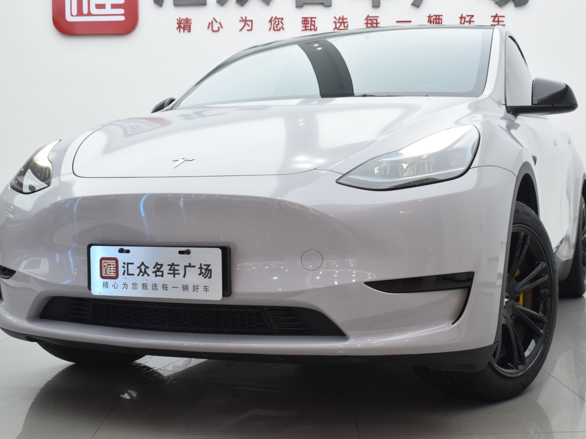 特斯拉 Model Y  2020款 改款 長續(xù)航后輪驅(qū)動版圖片