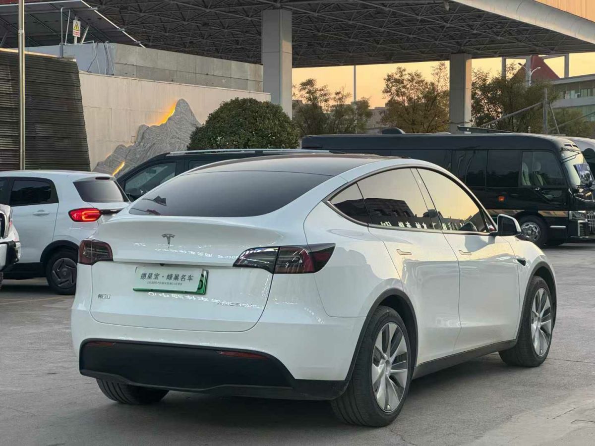 特斯拉 Model 3  2022款 Performance高性能全輪驅(qū)動版圖片