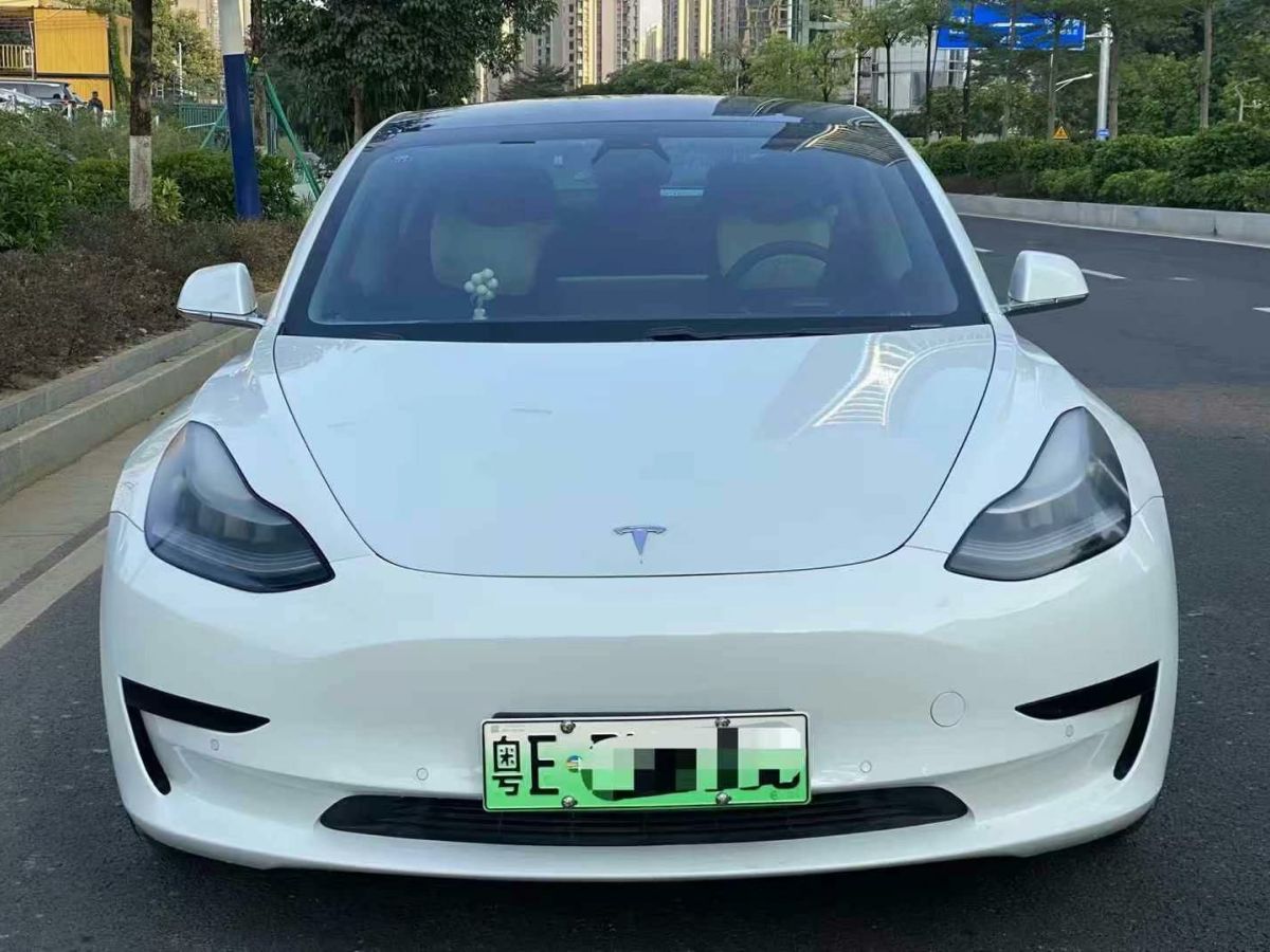 特斯拉 Model X  2020款 Performance 高性能版圖片