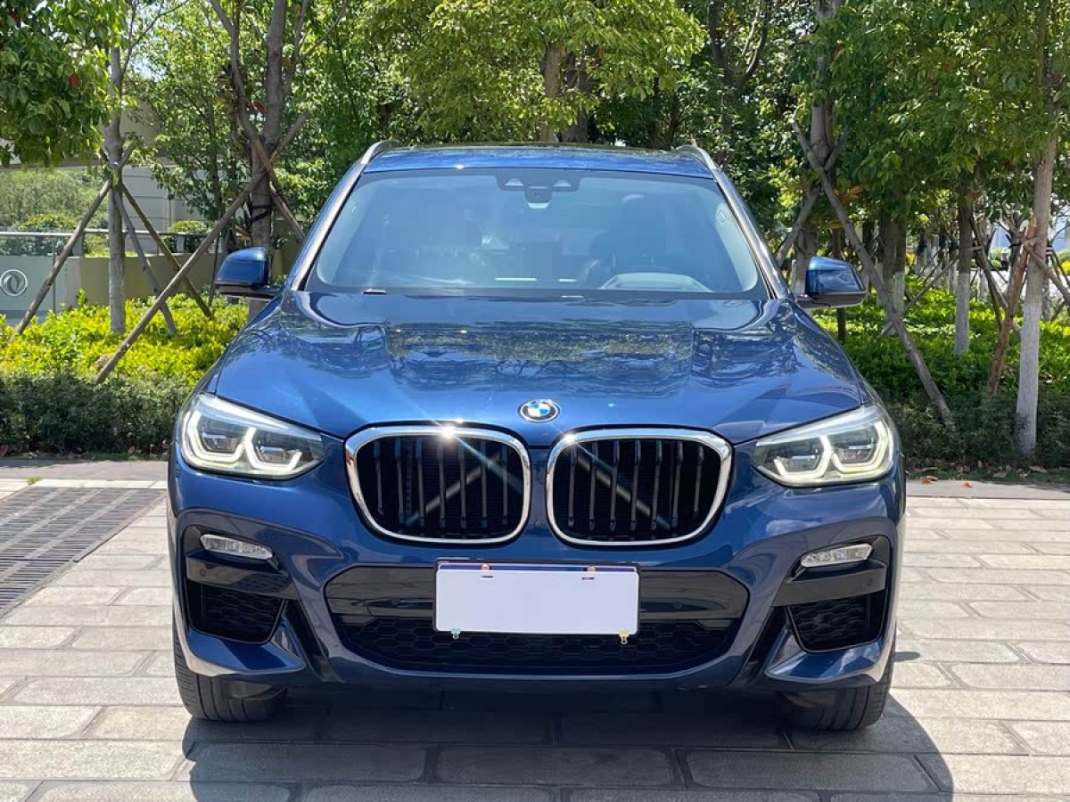 寶馬 寶馬X3  2018款 xDrive30i 領(lǐng)先型 M運(yùn)動套裝 國V圖片