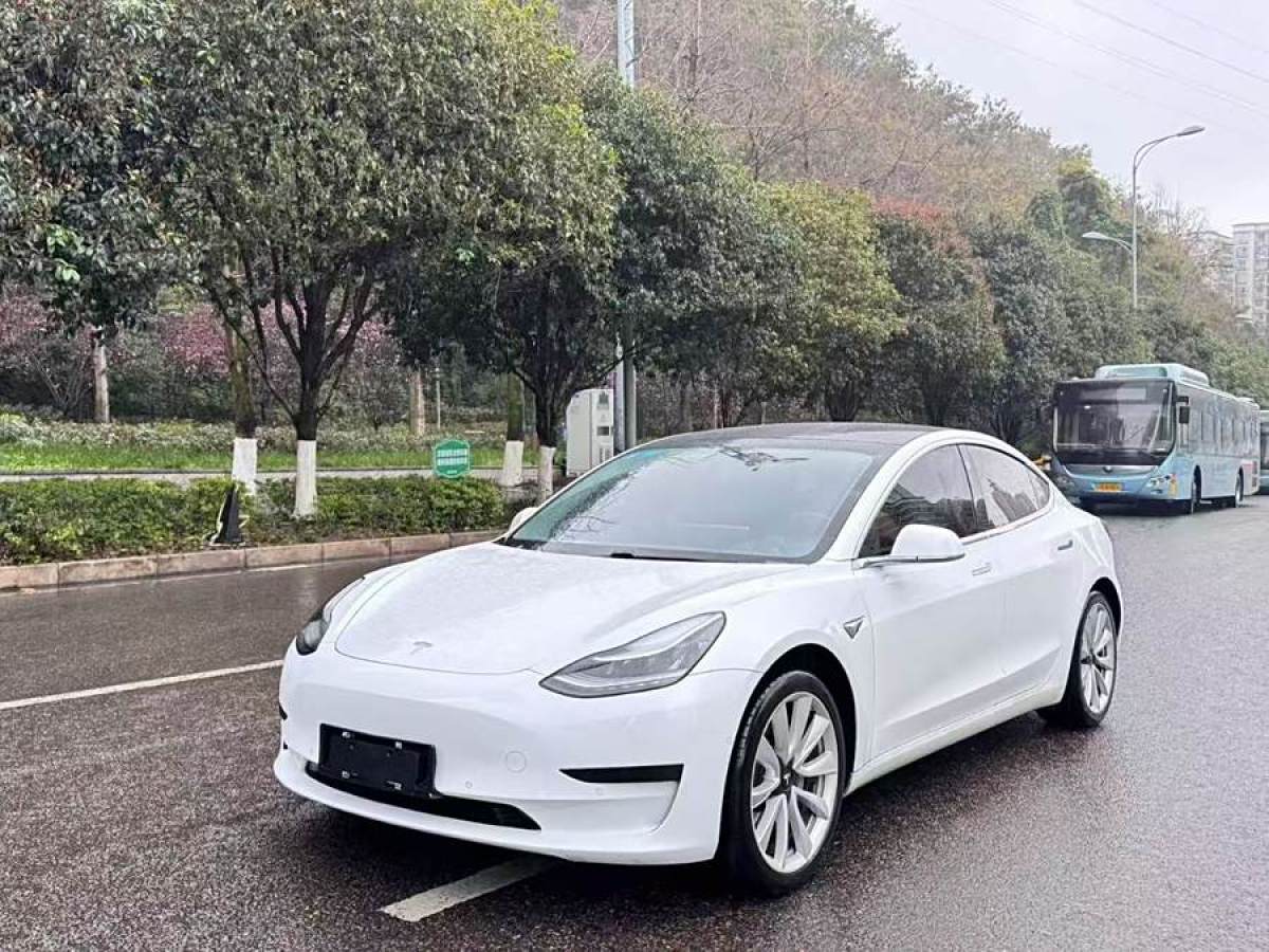 特斯拉 Model 3  2020款 改款 標(biāo)準(zhǔn)續(xù)航后驅(qū)升級(jí)版圖片