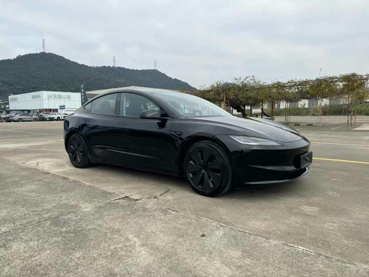 特斯拉 Model S  2023款 三電機(jī)全輪驅(qū)動 Plaid版圖片