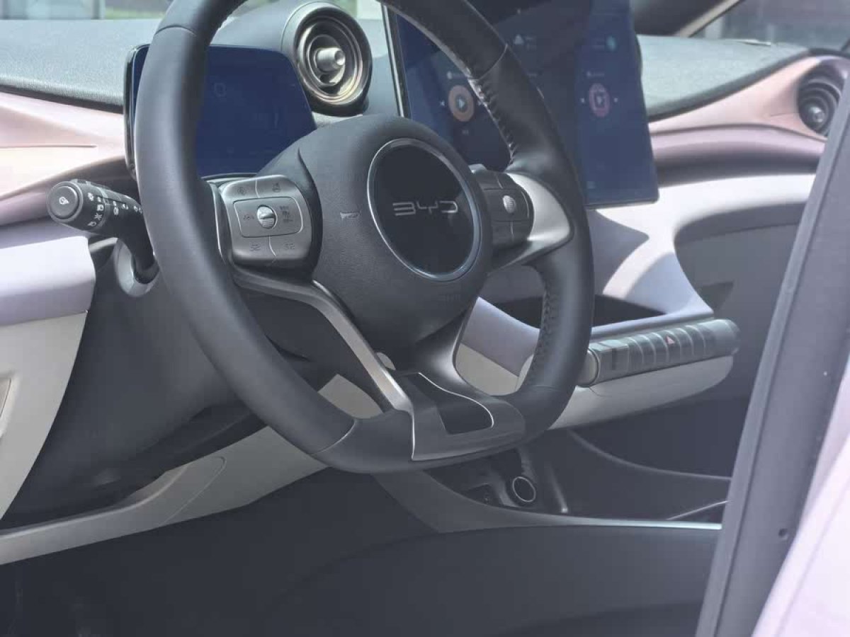 比亞迪 海豚  2021款 401km 騎士版圖片
