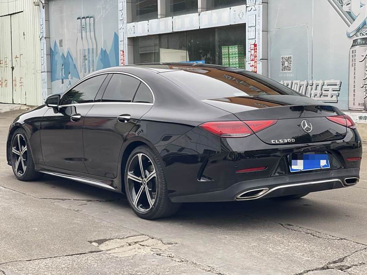 奔馳 奔馳CLS級  2020款 CLS 300 豪華型圖片