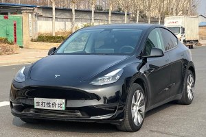 Model Y 特斯拉 改款 后輪驅(qū)動(dòng)版