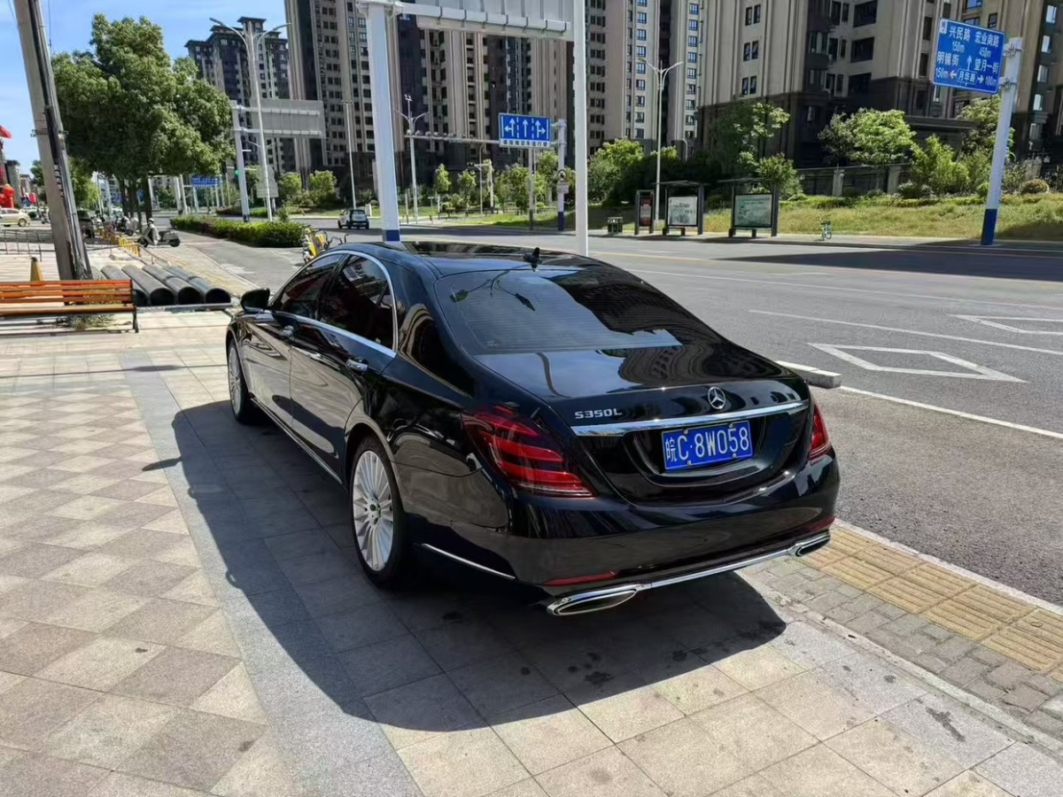 奔馳 奔馳S級  2020款 S 350 L 商務型 臻藏版圖片