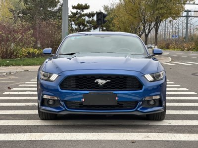 2017年3月 福特 Mustang(進(jìn)口) 2.3T 性能版圖片