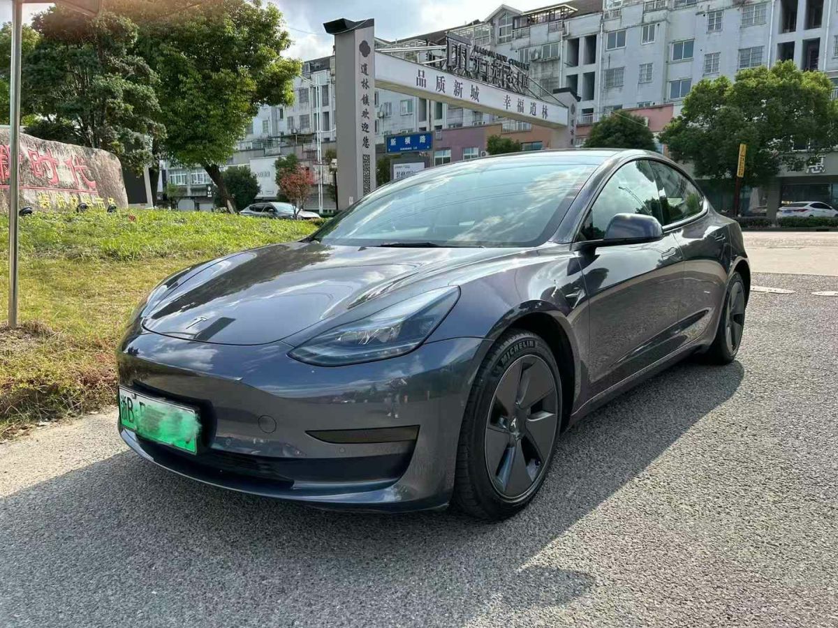 特斯拉 Model 3  2022款 Performance高性能全輪驅(qū)動(dòng)版圖片