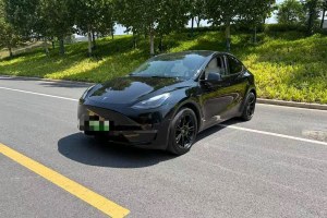 Model Y 特斯拉 標(biāo)準(zhǔn)續(xù)航后驅(qū)版