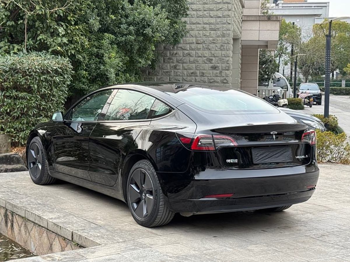 特斯拉 Model 3  2021款 改款 標準續(xù)航后驅(qū)升級版圖片