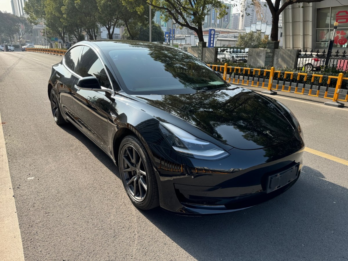 特斯拉 Model 3  2020款 標(biāo)準(zhǔn)續(xù)航后驅(qū)升級版圖片