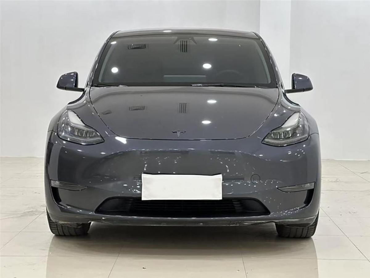 特斯拉 Model 3  2021款 改款 標準續(xù)航后驅(qū)升級版圖片