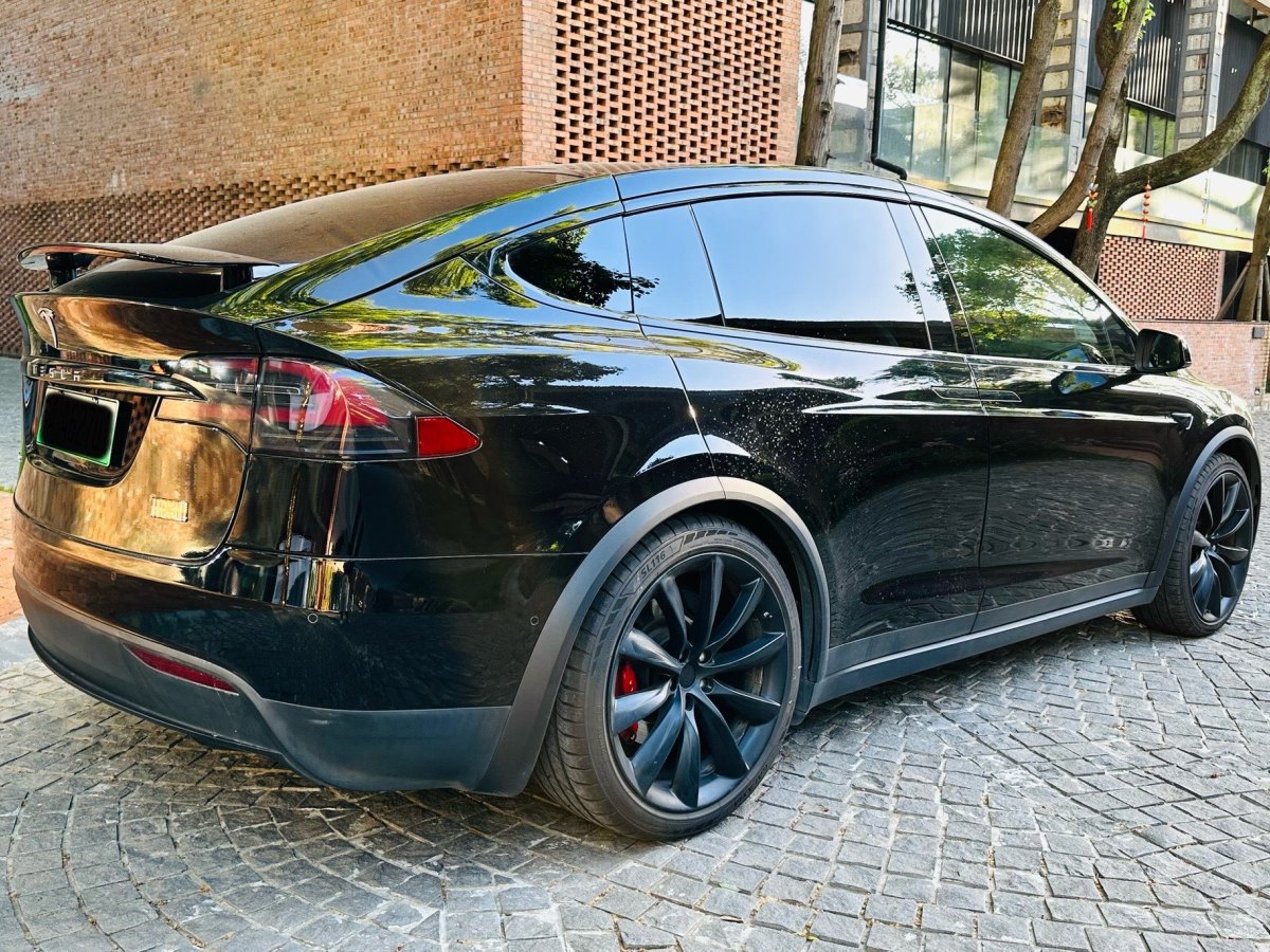 特斯拉 Model X  2019款 Performance 高性能版图片