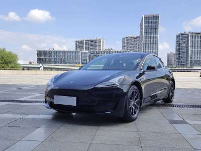 2019年6月 特斯拉 Model 3 标准续航后驱升级版图片