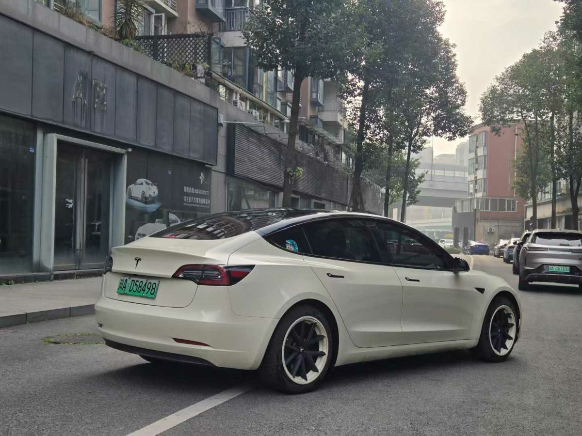 特斯拉 Model 3  2020款 標(biāo)準(zhǔn)續(xù)航后驅(qū)升級(jí)版圖片