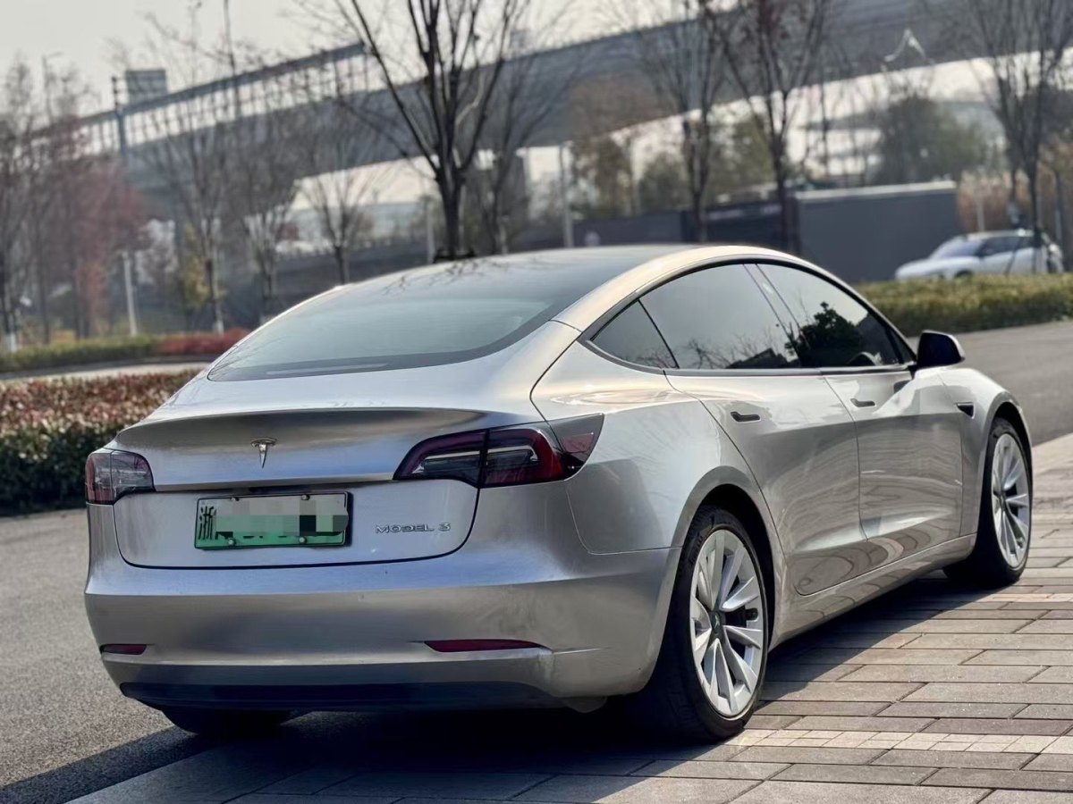 特斯拉 Model 3  2019款 標(biāo)準(zhǔn)續(xù)航后驅(qū)升級版圖片