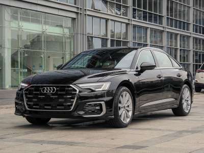 2023年11月 奥迪 奥迪A6L 45 TFSI 臻选致雅型图片