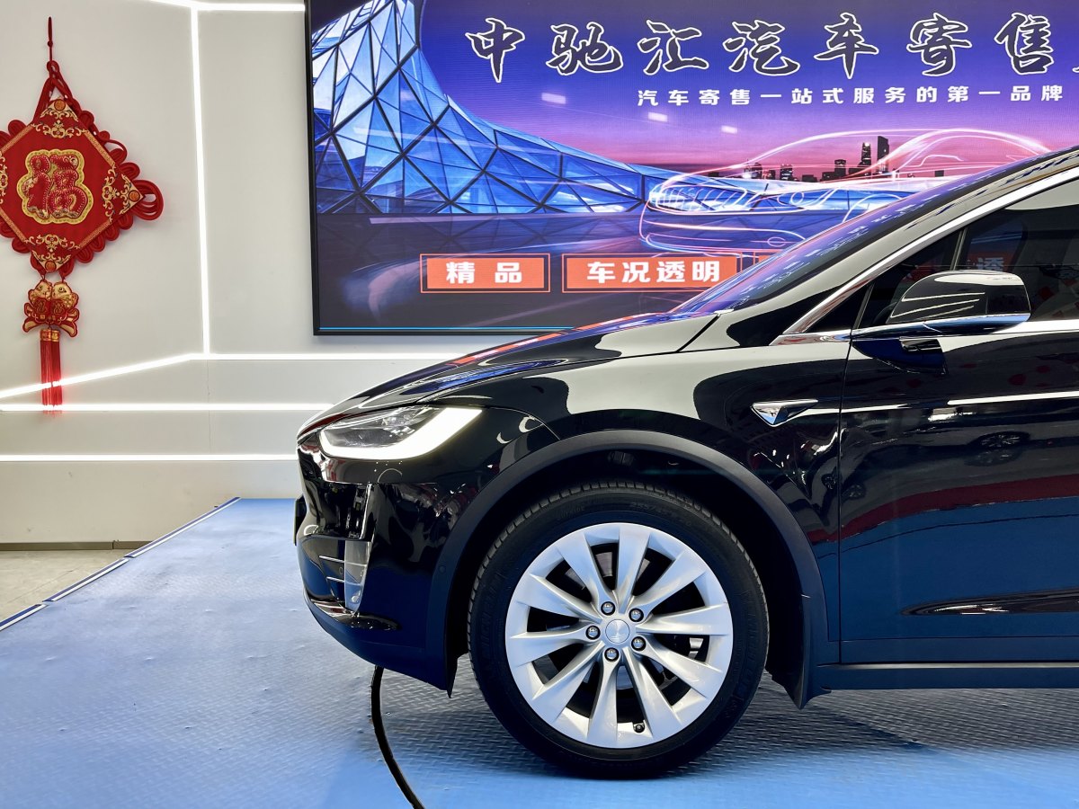 2019年3月特斯拉 Model X  2017款 Model X 100D 長(zhǎng)續(xù)航版