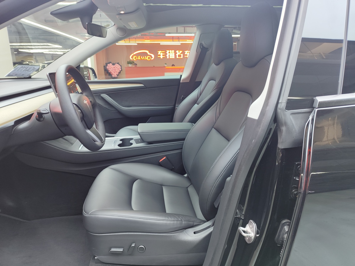 特斯拉 Model Y  2021款 標(biāo)準(zhǔn)續(xù)航后驅(qū)版圖片