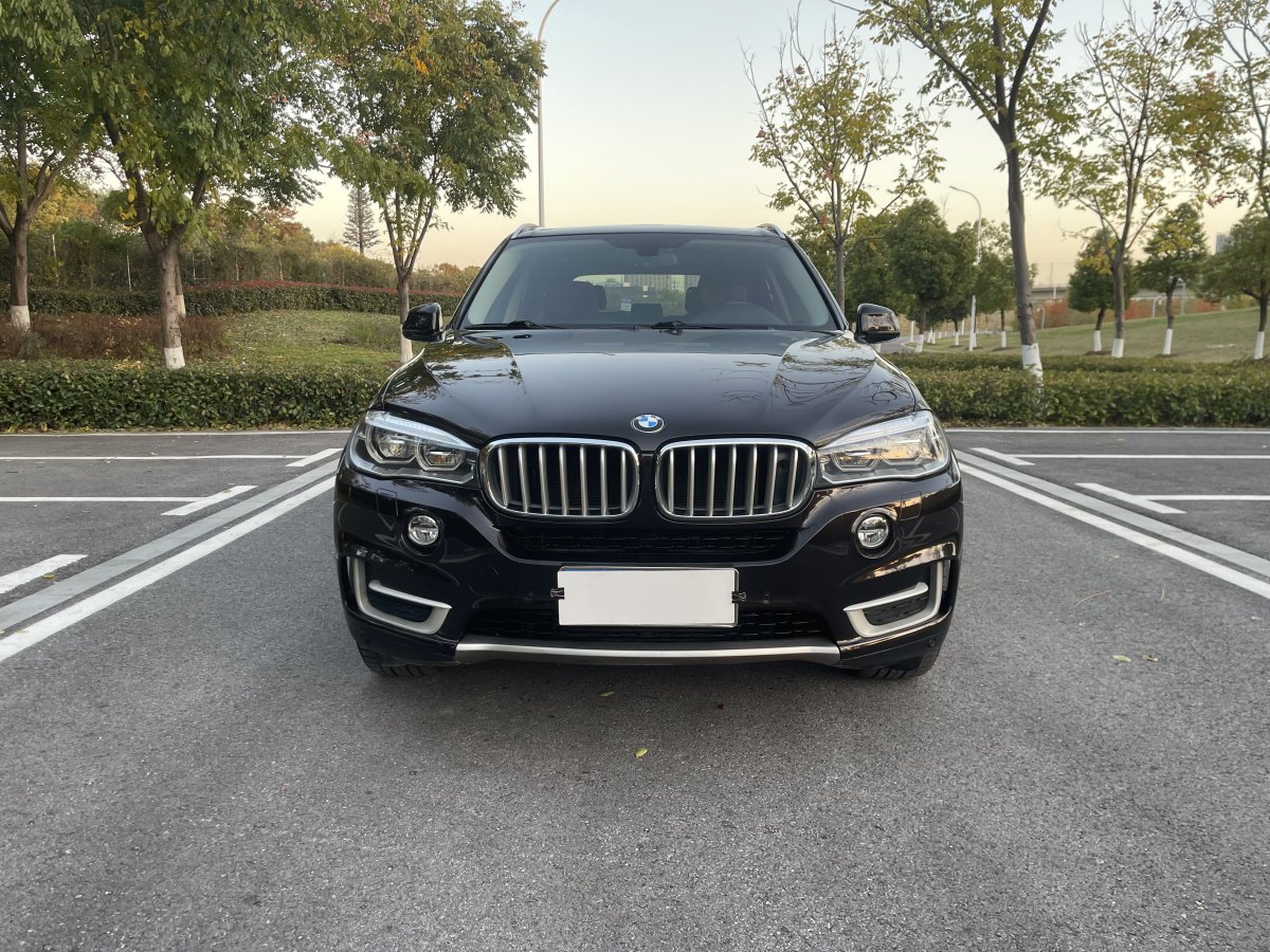 寶馬 寶馬X5  2014款 xDrive35i 尊享型圖片