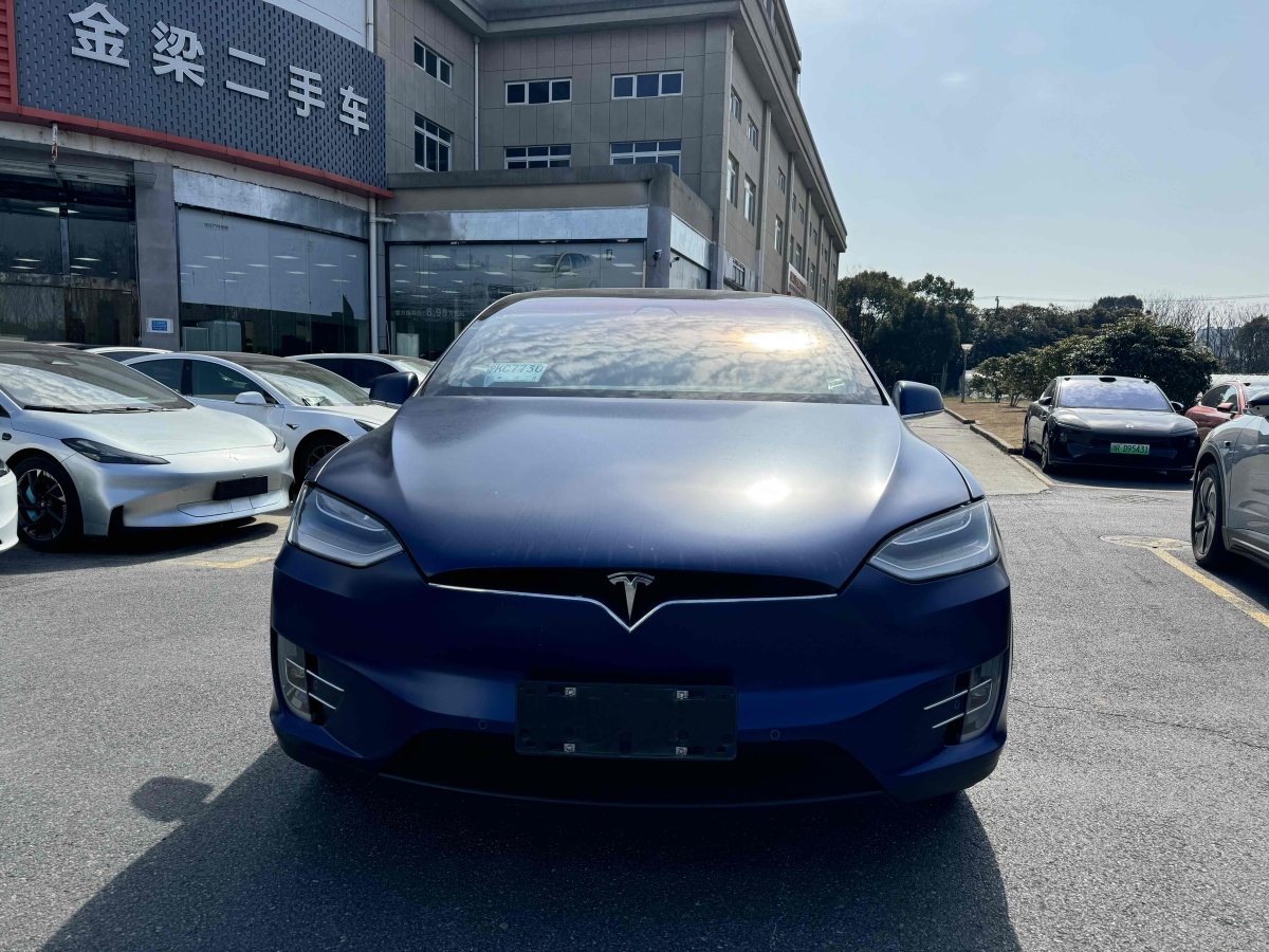 特斯拉 Model X  2019款 長(zhǎng)續(xù)航版圖片