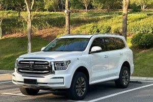 坦克500 坦克 3.0T 運(yùn)動版 造境型 5座
