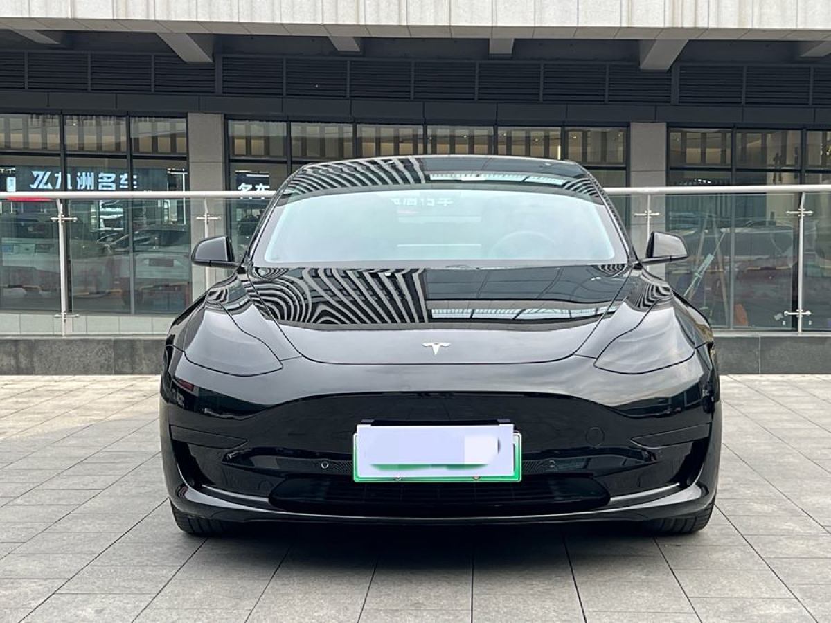 特斯拉 Model 3  2021款 改款 標準續(xù)航后驅(qū)升級版圖片