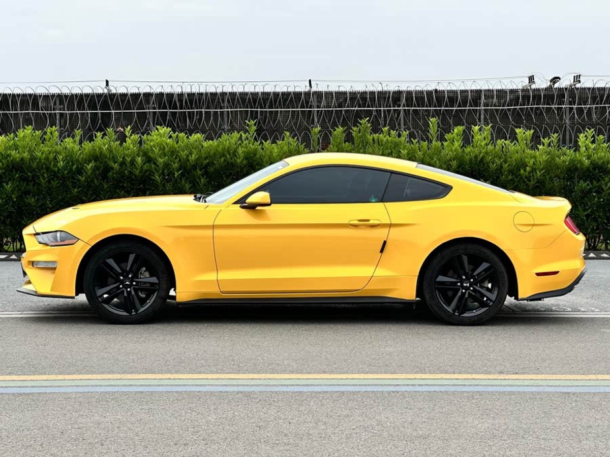 福特 Mustang  2018款 2.3L EcoBoost圖片