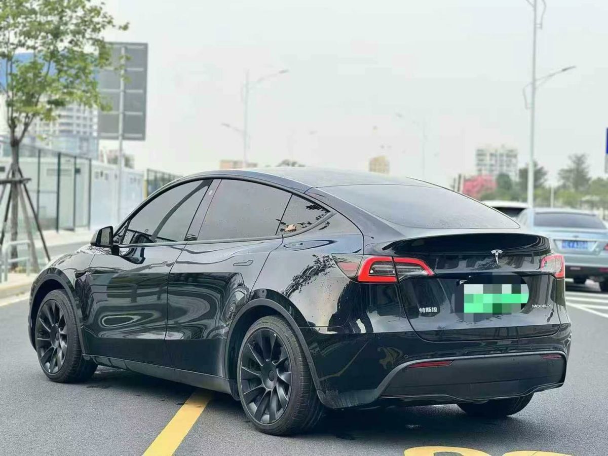 特斯拉 Model Y  2021款 標(biāo)準(zhǔn)續(xù)航后驅(qū)版圖片