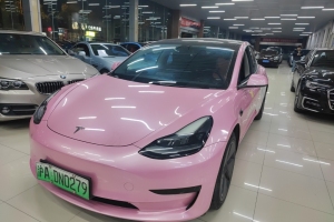 Model 3 特斯拉 改款 標(biāo)準(zhǔn)續(xù)航后驅(qū)升級版