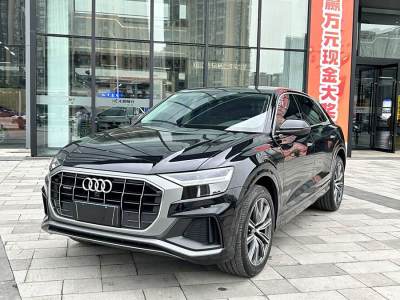 2021年1月 奥迪 奥迪Q8(进口) 45 TFSI 臻选动感型图片