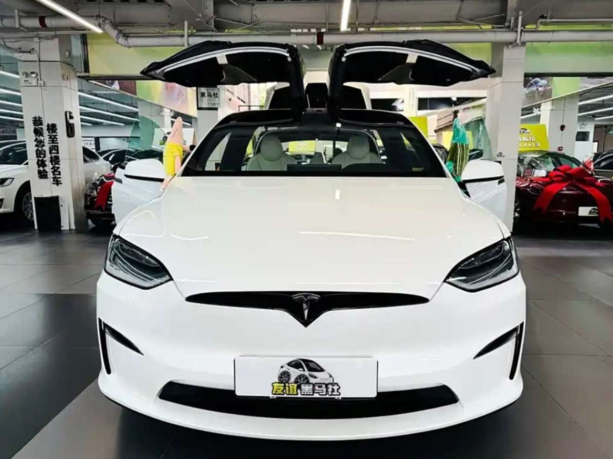 特斯拉 Model X  2023款 雙電機(jī)全輪驅(qū)動(dòng)版圖片