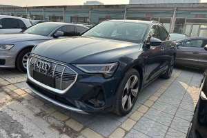 奥迪e-tron 奥迪 Sportback 55 quattro 臻选型