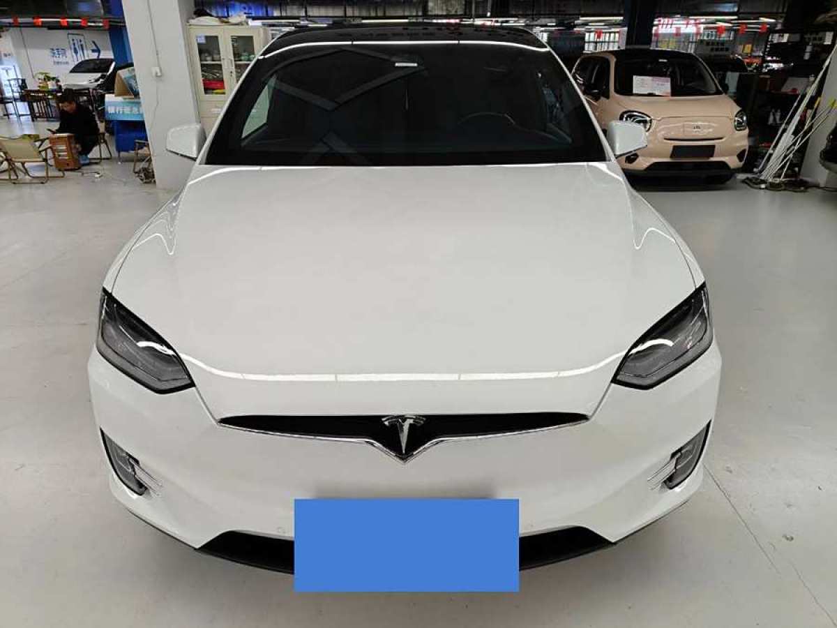 特斯拉 Model X  2019款 長續(xù)航版圖片